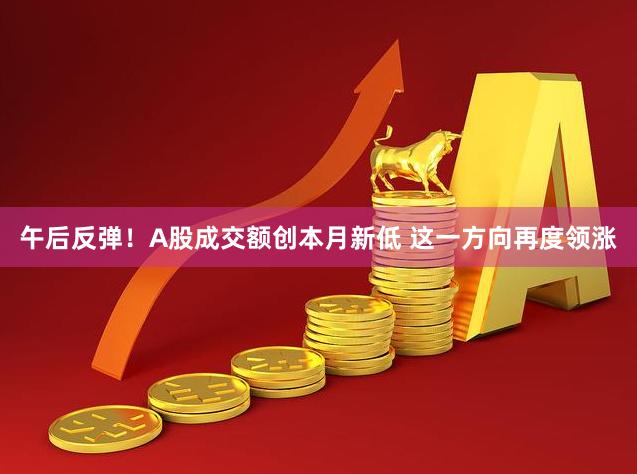 午后反弹！A股成交额创本月新低 这一方向再度领涨