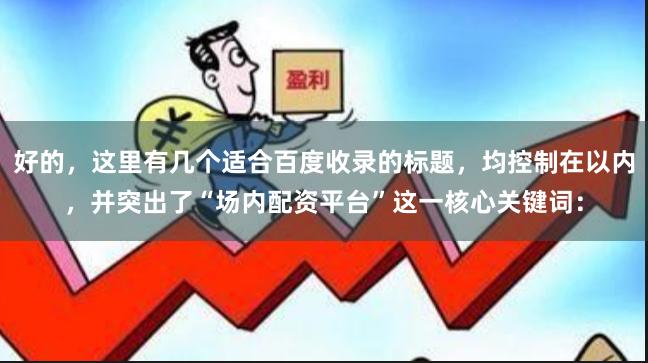 好的，这里有几个适合百度收录的标题，均控制在以内，并突出了“场内配资平台”这一核心关键词：