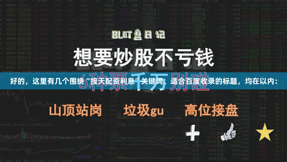 好的，这里有几个围绕“按天配资利息”关键词、适合百度收录的标题，均在以内：
