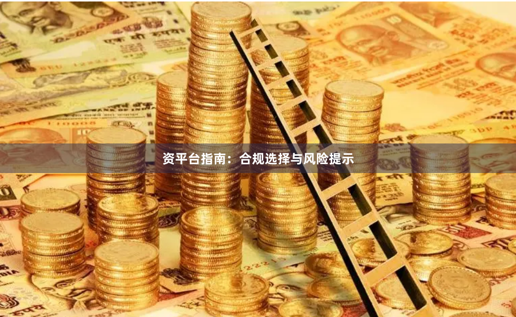 资平台指南：合规选择与风险提示